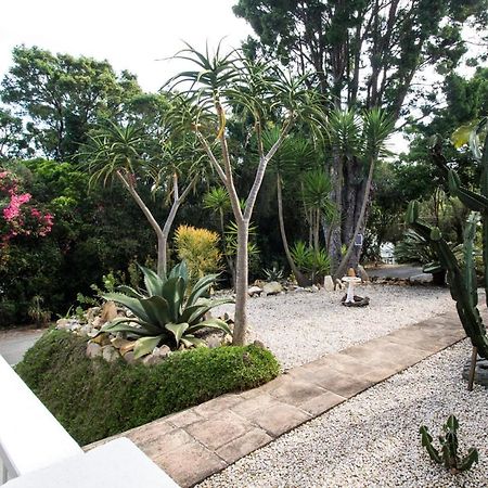 South Villa Guesthouse&Garden Knysna Exteriér fotografie