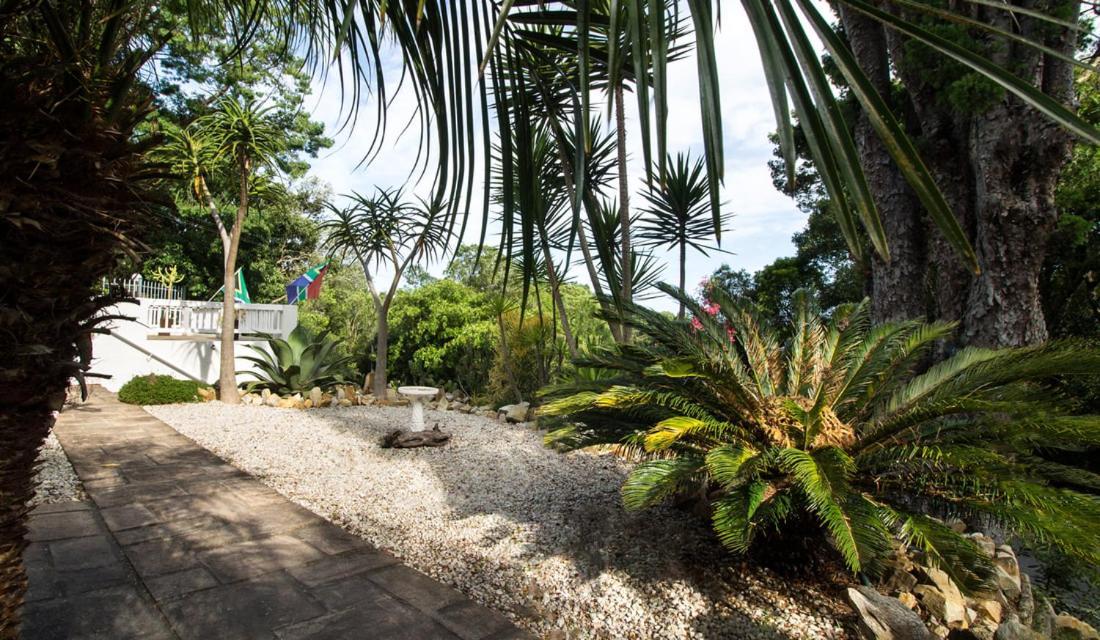 South Villa Guesthouse&Garden Knysna Exteriér fotografie